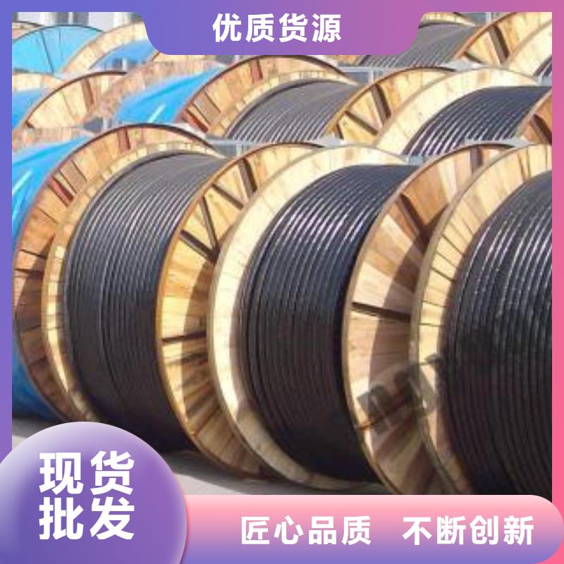 电线电缆_RS485电缆品质信得过