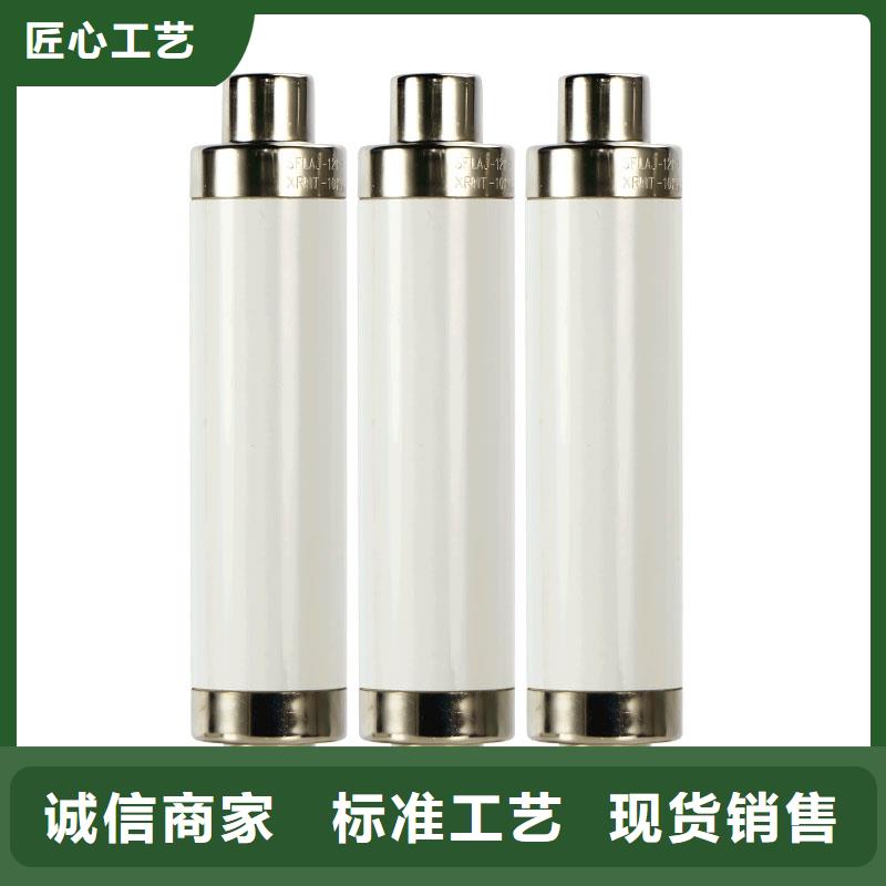 RN1-6/300双管限流熔断器