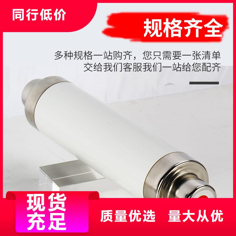RN1-6/300双管限流熔断器