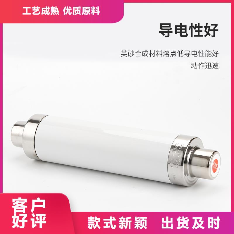 RN1-6/300双管限流熔断器