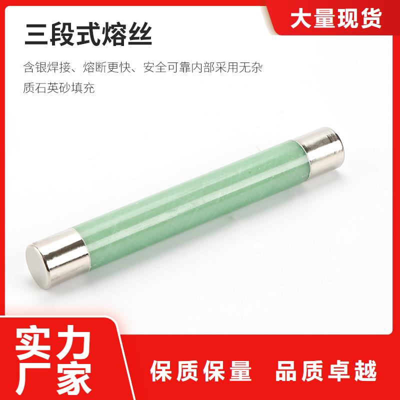 XRNP-3.6KV/3.15A变压器用熔断器