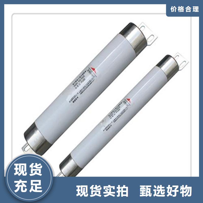 RN1-6/300双管限流熔断器