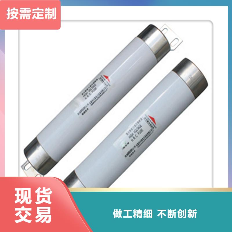 RN1-6/300双管限流熔断器