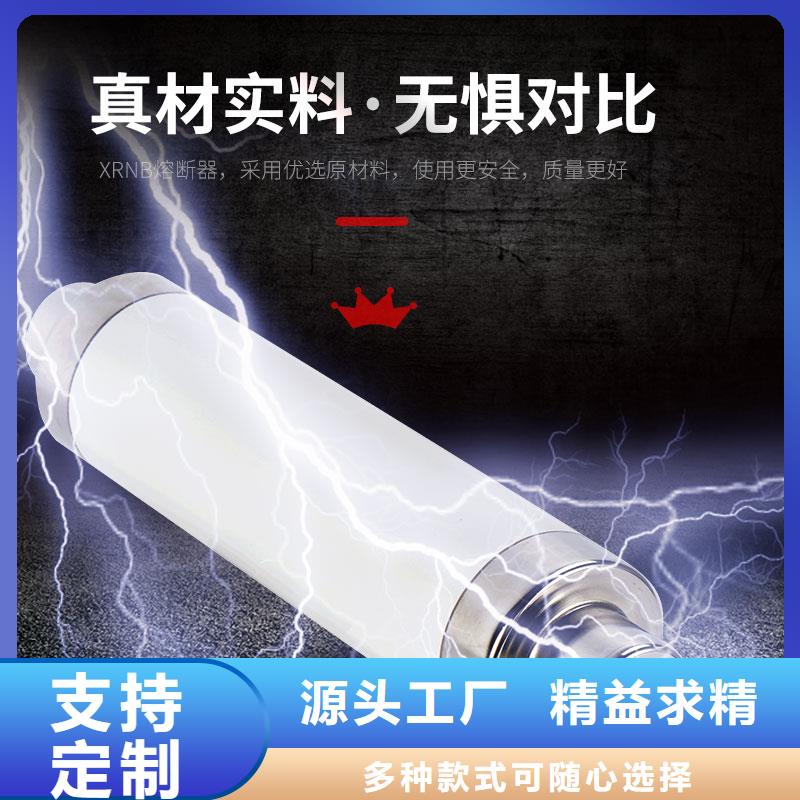 RN1-6/300双管限流熔断器