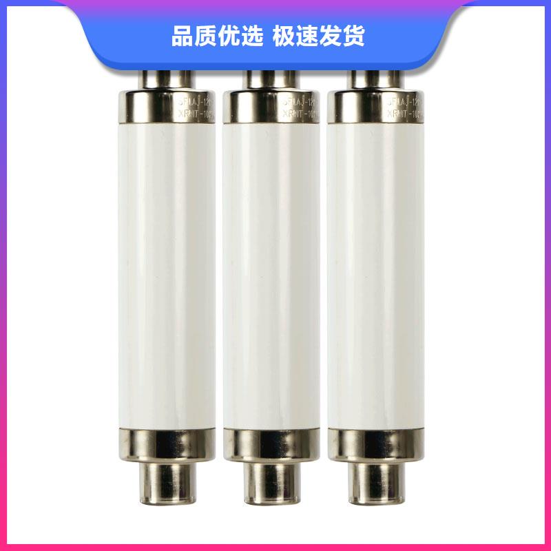 RN1-6/300双管限流熔断器