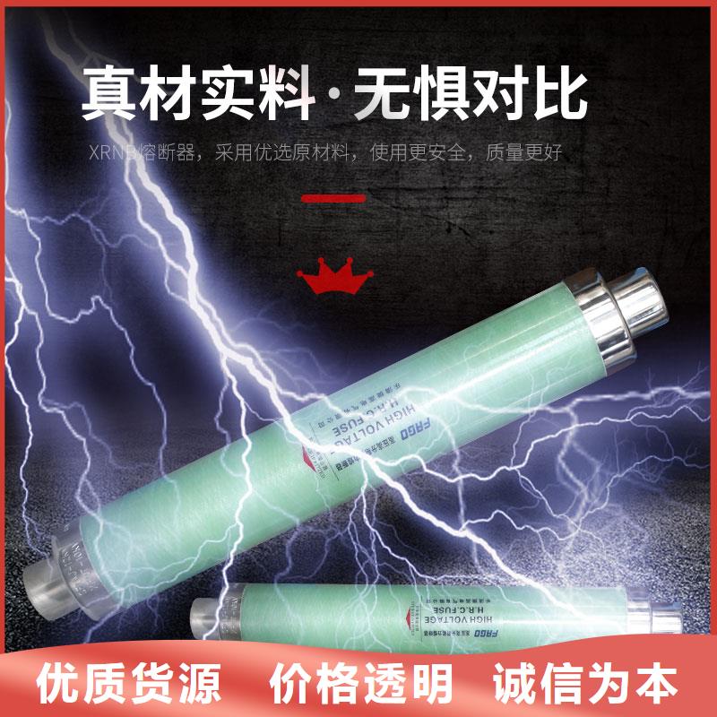 RN1-6/300双管限流熔断器