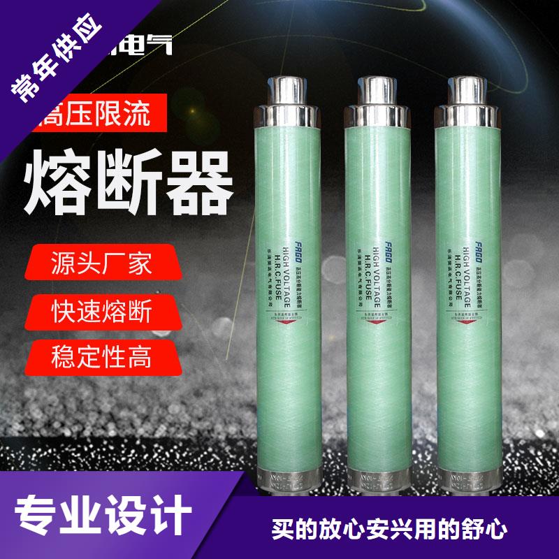 RN1-6/300双管限流熔断器