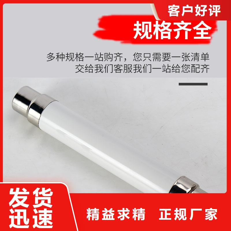 RN1-6/300双管限流熔断器