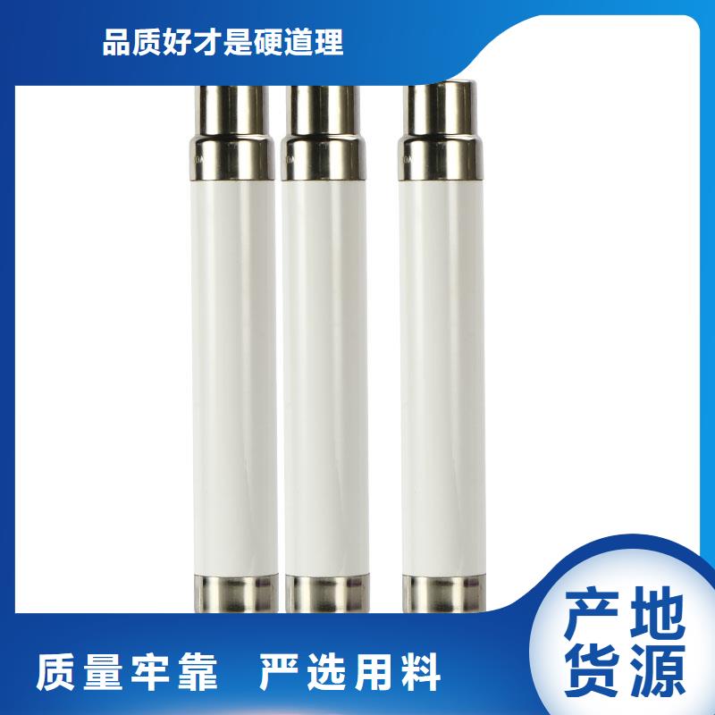 RN1-6/300双管限流熔断器
