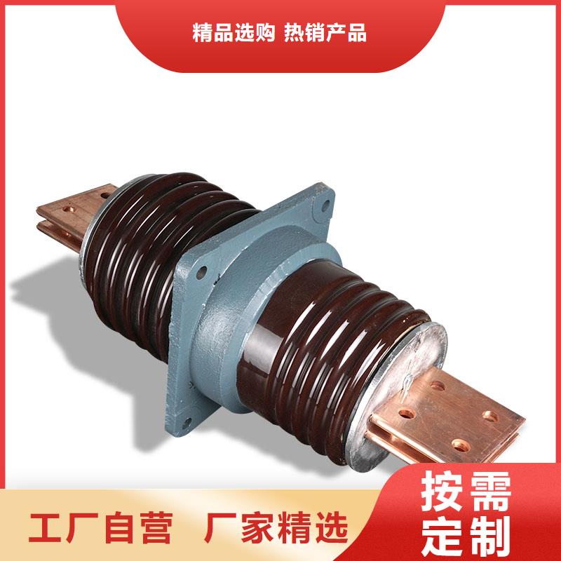 CWWL-35/1600A陶瓷穿墙套管
