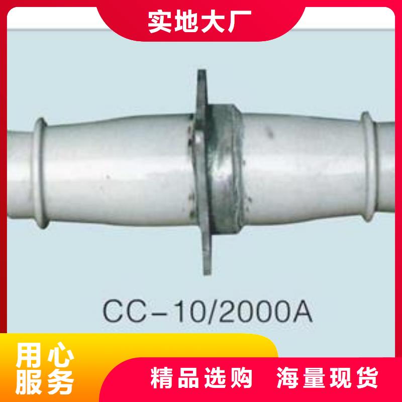 CWWL-35/1600A陶瓷穿墙套管