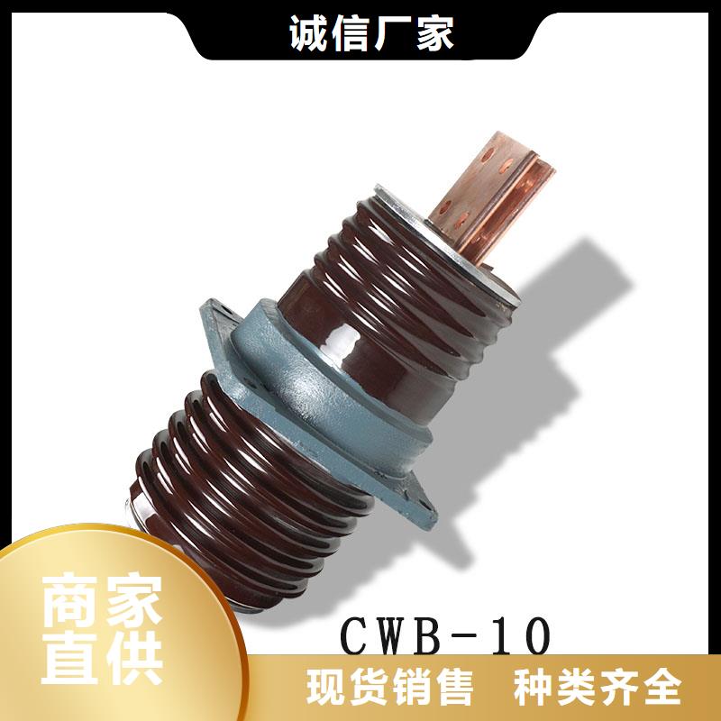 CWWL-35/1600A陶瓷穿墙套管