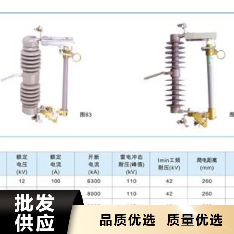 NCX-12/100A高压跌落保险说明