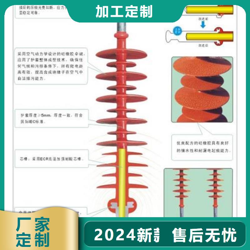 FXBW4-330/120硅胶绝缘子樊高