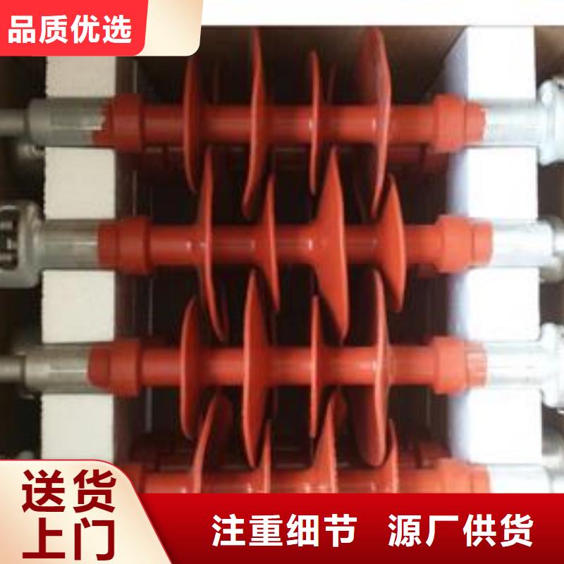 FXBW4-330/120硅胶绝缘子樊高
