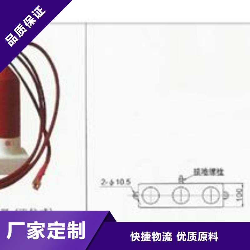 BSTG-A-6.3三相组合式过电压保护器樊高电气