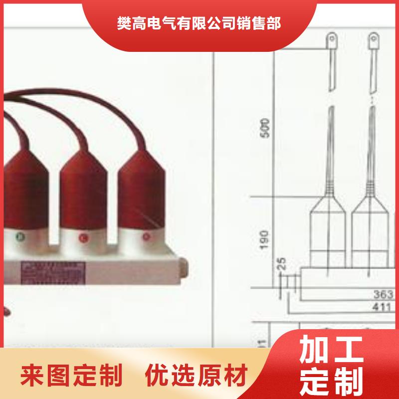 BSTG-A-6.3三相组合式过电压保护器樊高电气