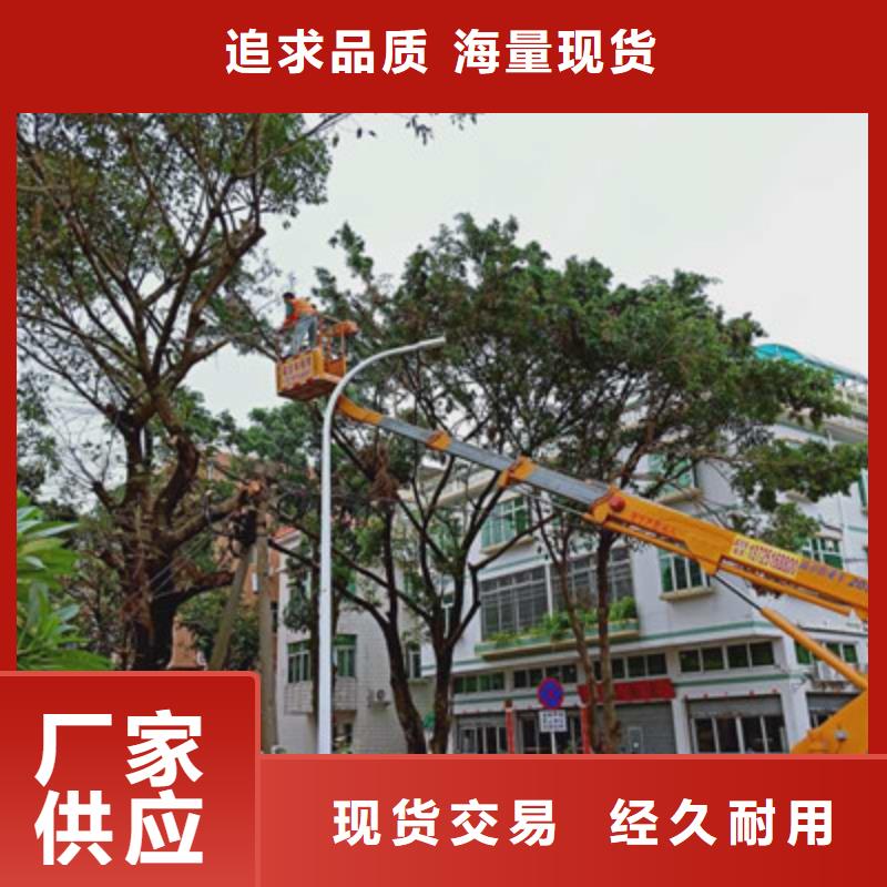 云梯车租赁厂家定制