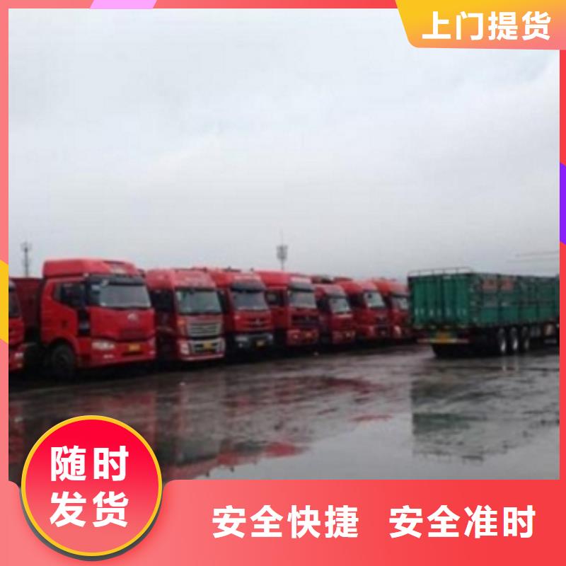 1专注物流N年