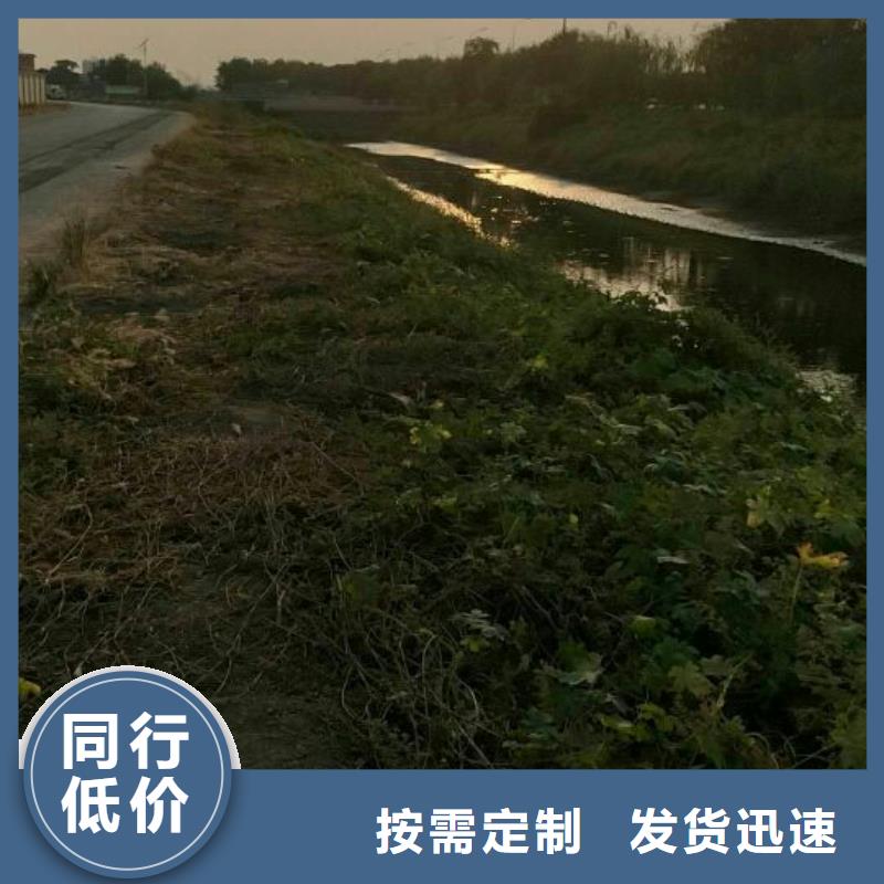 污泥处理土壤固化剂当地货源