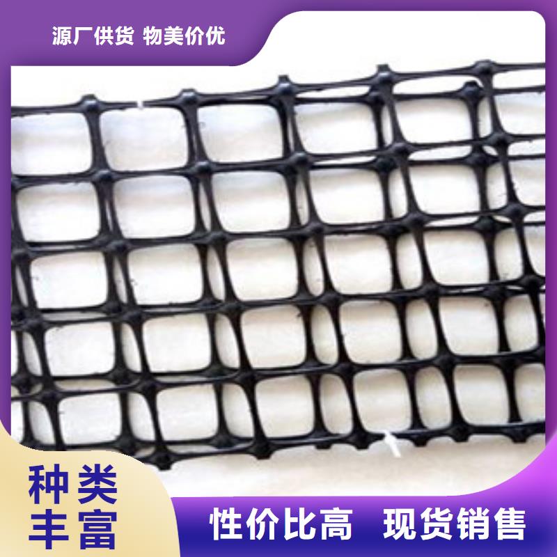 双向塑料格栅三维植被网产地批发