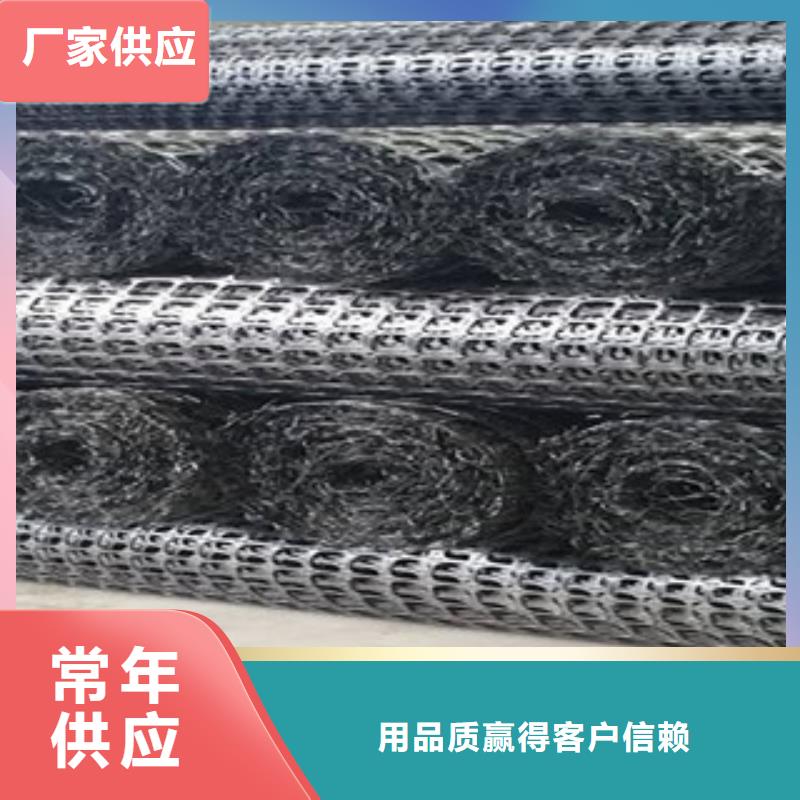双向塑料格栅-钢塑土工格栅精选货源