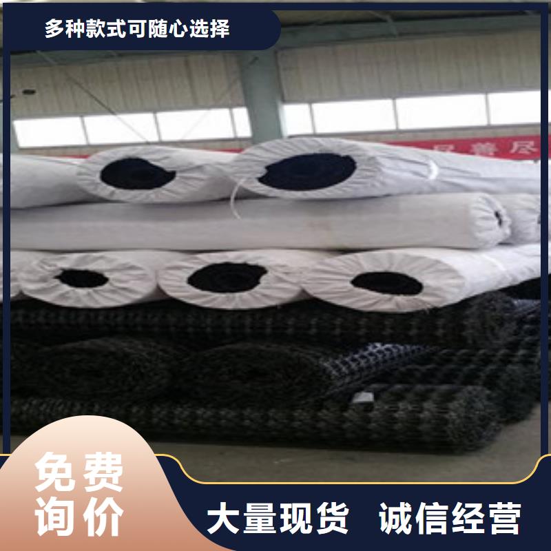 双向塑料格栅-钢塑土工格栅精选货源