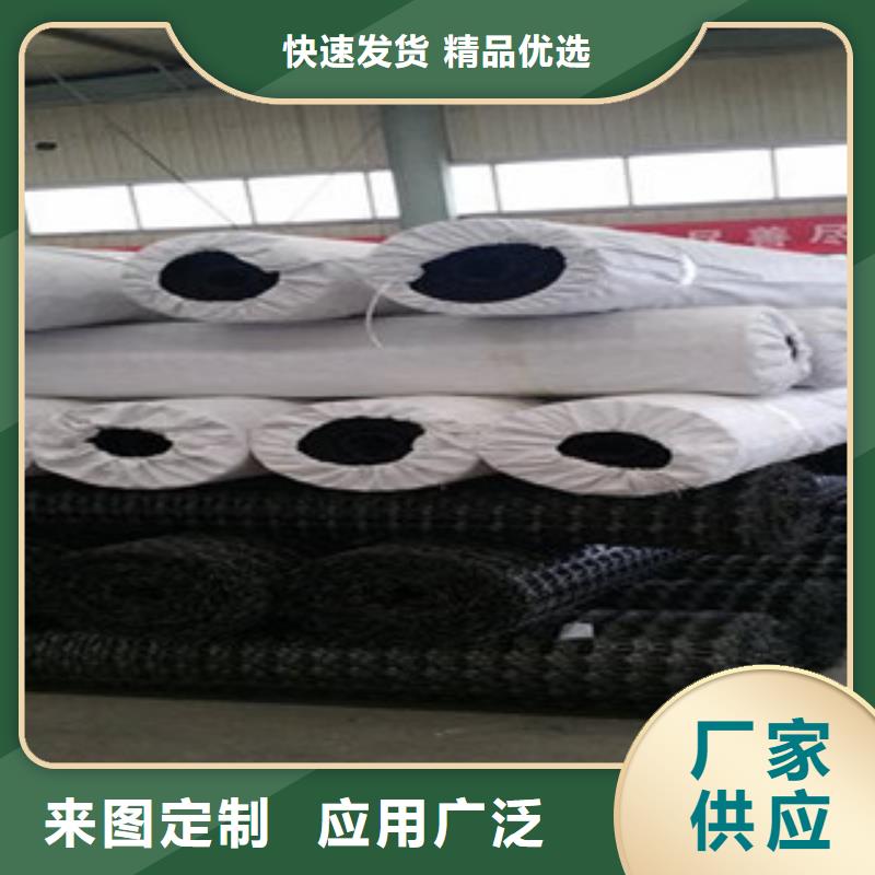 双向塑料格栅钢塑土工格栅量大更优惠