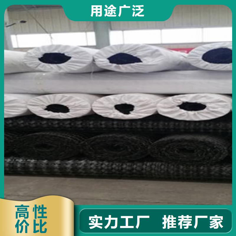 双向塑料格栅玻纤土工格栅让客户买的放心