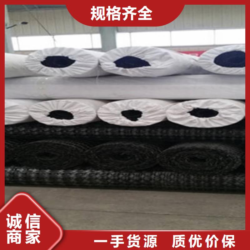 双向塑料格栅-钢塑土工格栅免费询价