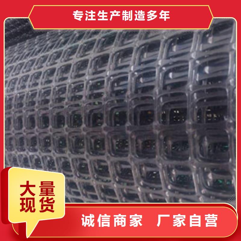 双向塑料格栅三维植被网产地批发