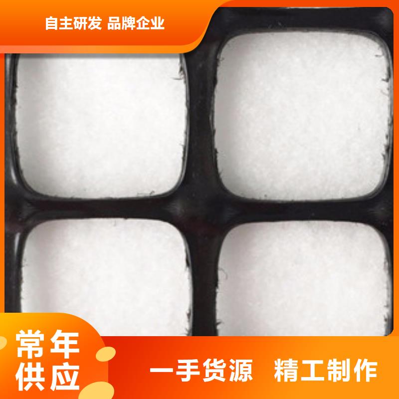 【双向塑料格栅】塑料土工格栅实地大厂