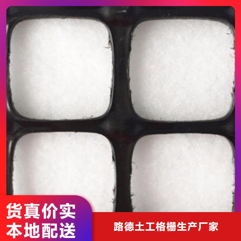双向塑料格栅-钢塑土工格栅精选货源