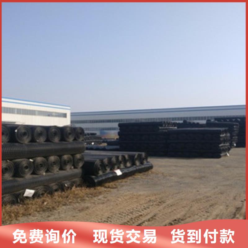 双向塑料格栅膨润土防水毯厂家供应
