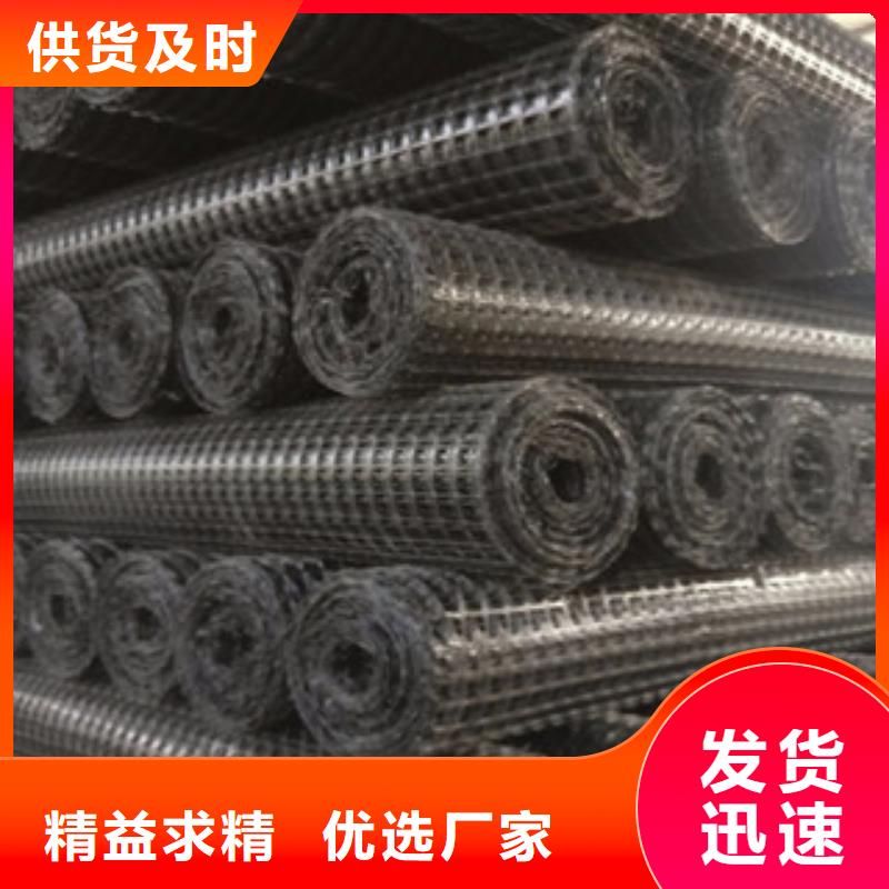双向塑料格栅三维植被网实地大厂