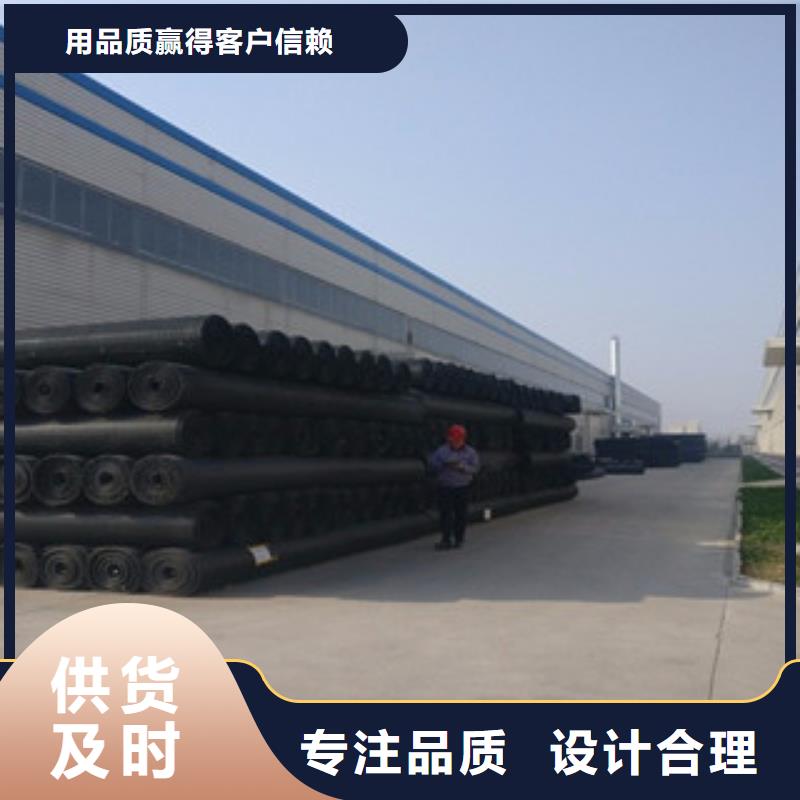 双向塑料格栅-钢塑土工格栅免费询价