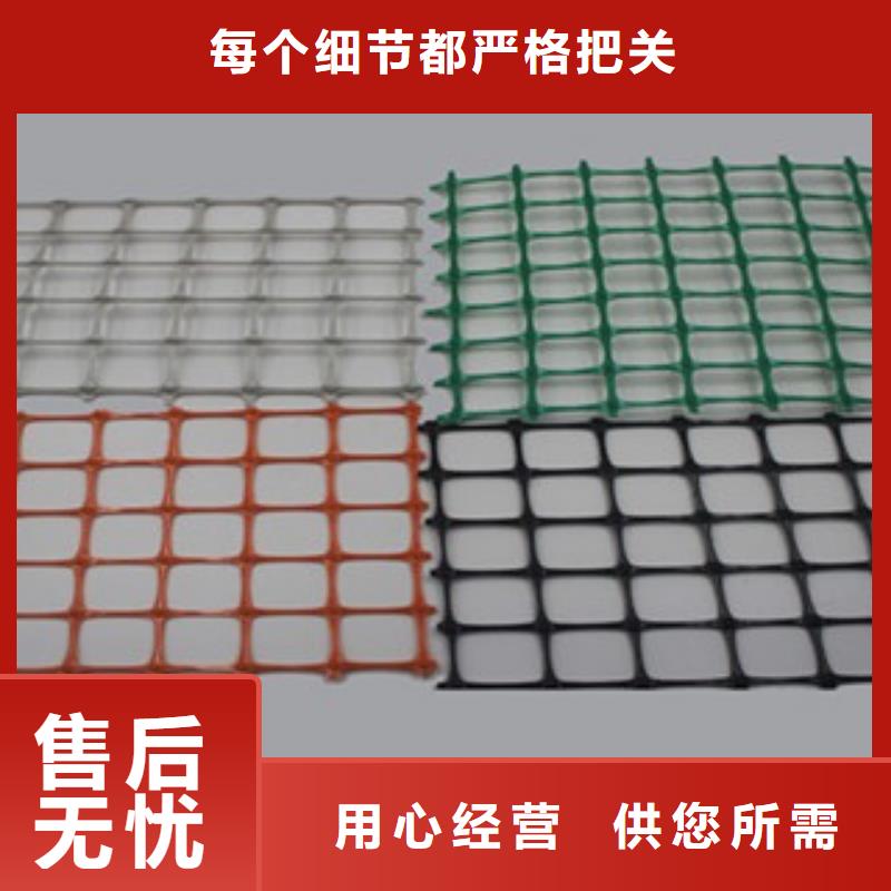 双向塑料格栅三维植被网实地大厂
