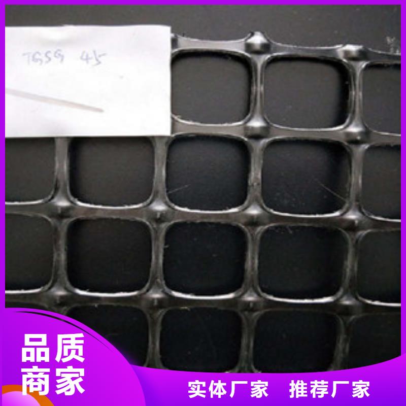 【双向塑料格栅】塑料土工格栅实地大厂