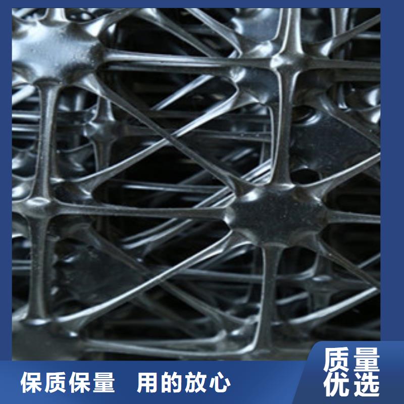双向塑料格栅-钢塑土工格栅精选货源