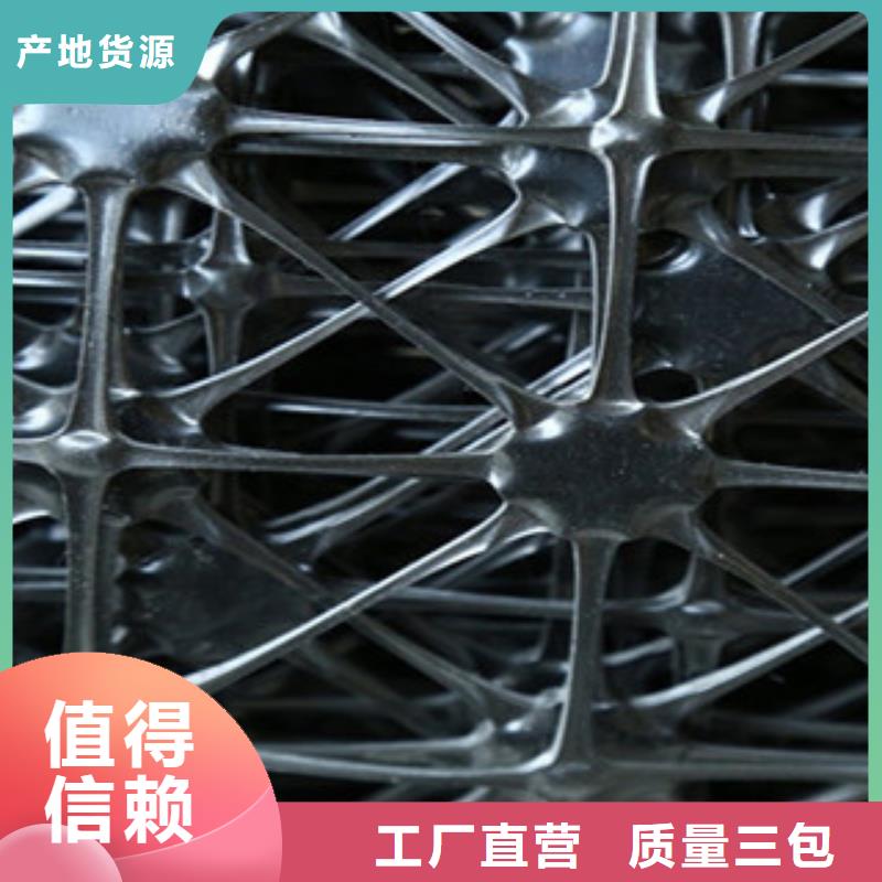 【双向塑料格栅】塑料土工格栅实地大厂