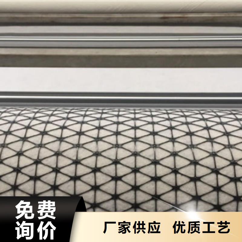双向塑料格栅塑料排水板通过检测