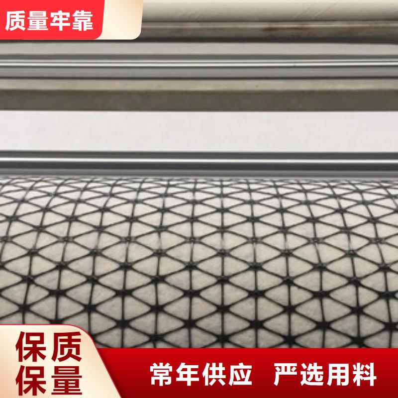 双向塑料格栅钢塑土工格栅量大更优惠