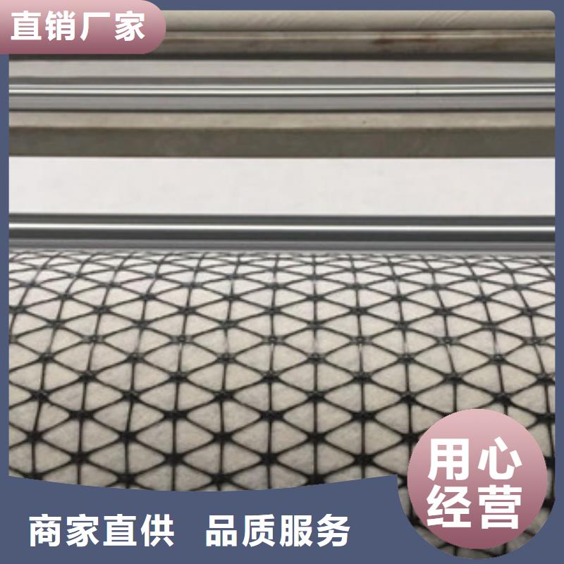 双向塑料格栅-钢塑土工格栅精选货源