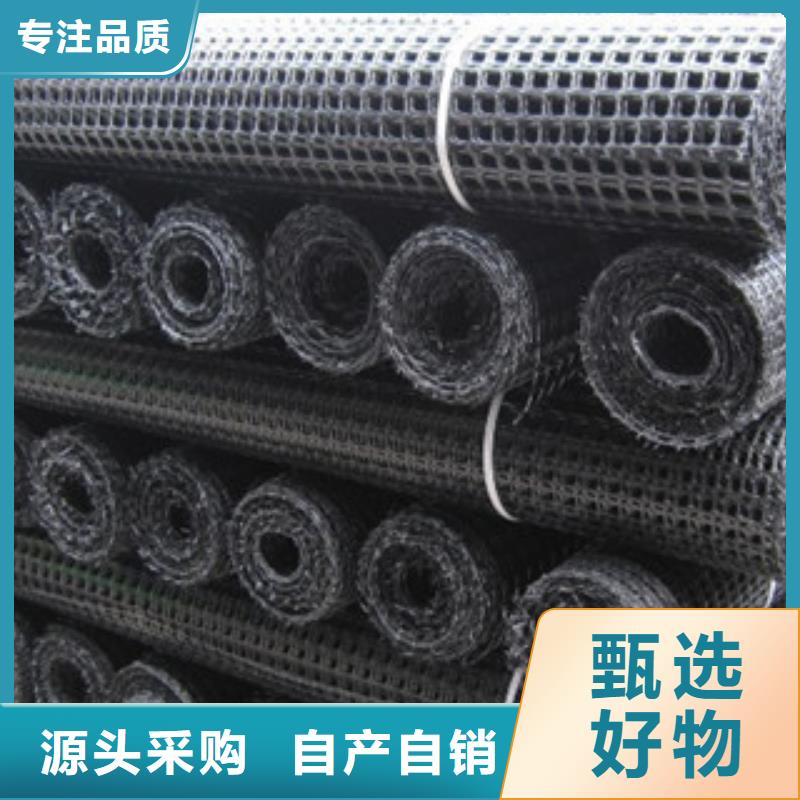 【双向塑料格栅】塑料土工格栅实地大厂