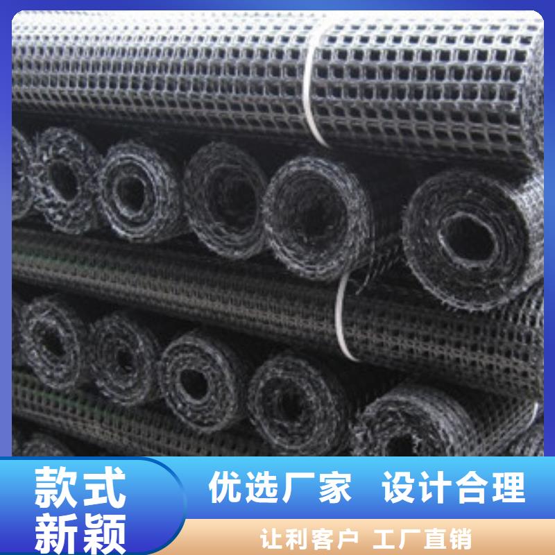 双向塑料格栅-钢塑土工格栅精选货源