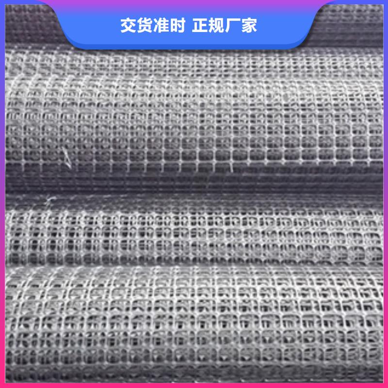 双向塑料格栅-钢塑土工格栅精选货源