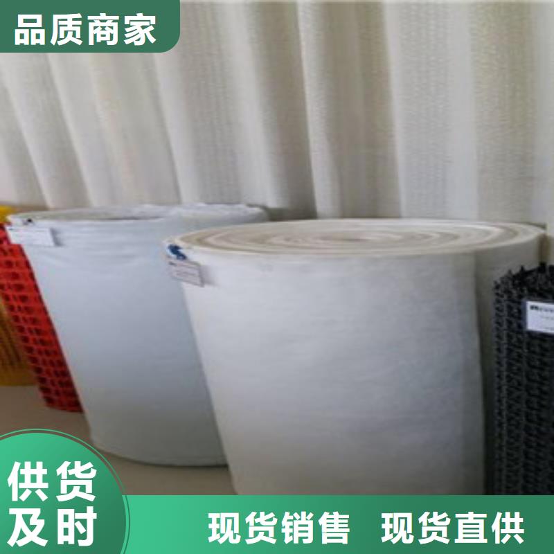 钢塑土工格栅厂家自营
