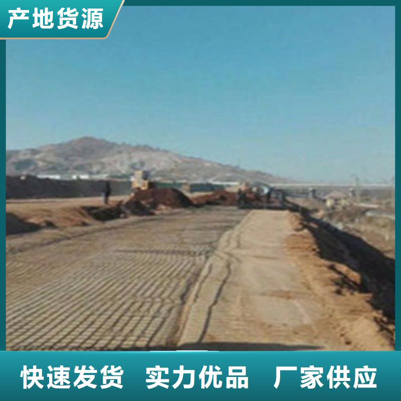 【钢塑土工格栅膨润土防水毯品质可靠】