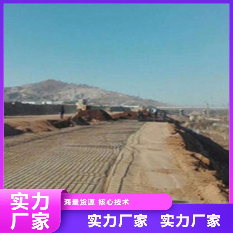 钢塑土工格栅三维植被网质量层层把关