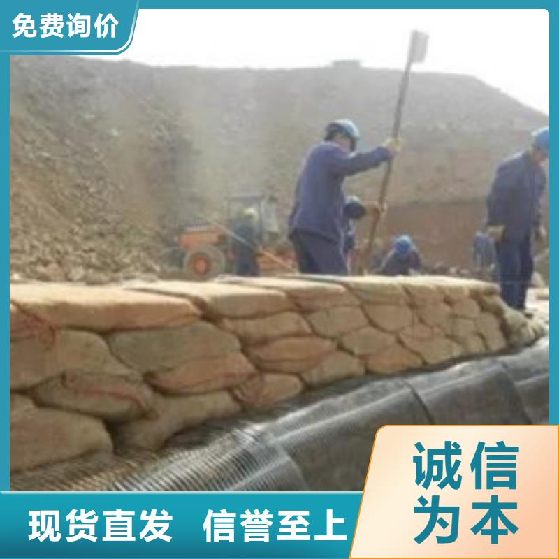 单向塑料格栅塑料排水板放心选购